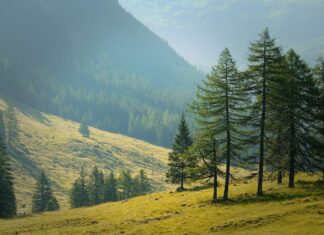 Geniet van de natuur: fietsen, wandelen, wintersport en kamperen